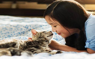 Cmo cuidar a tu gato y hacerlo feliz