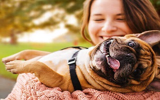 Cmo cuidar a tu perro y hacerlo feliz