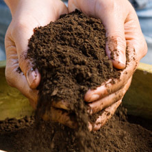 ¿Cómo mantener el suelo descompactado?