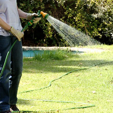 ¿Cómo debe ser el riego?